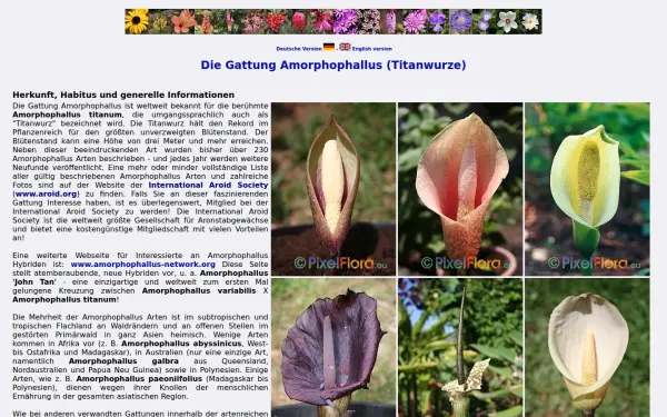 amorphophallus.de
