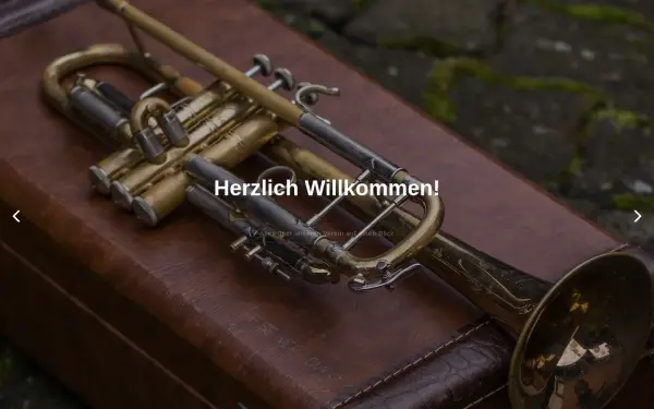 adelsdorfer-musikanten.de