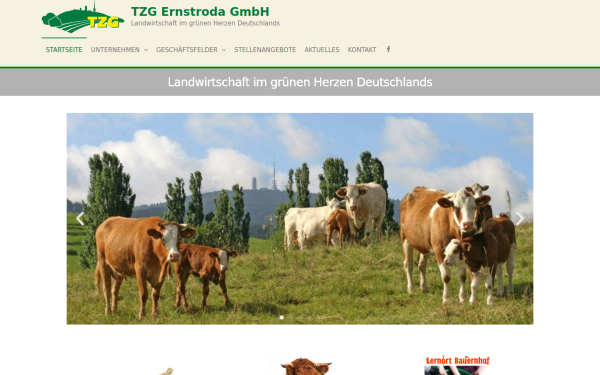 tzg-ernstroda.de
