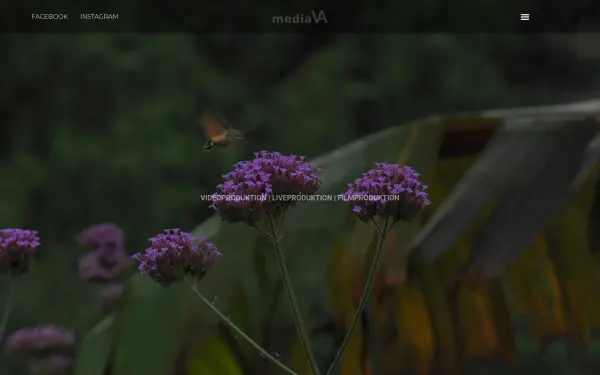 media-va.de