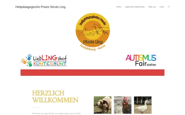 heilpaedagogik-andernach.de