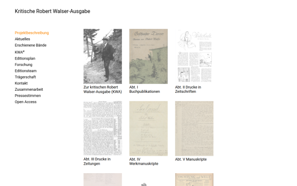 kritische-walser-ausgabe.ch