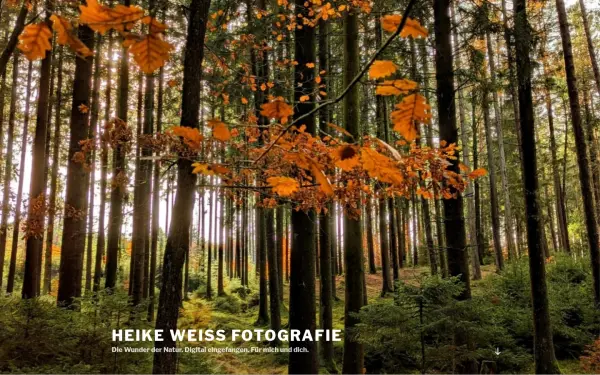 heike-weiss.de