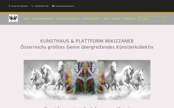 mikizzaner.at