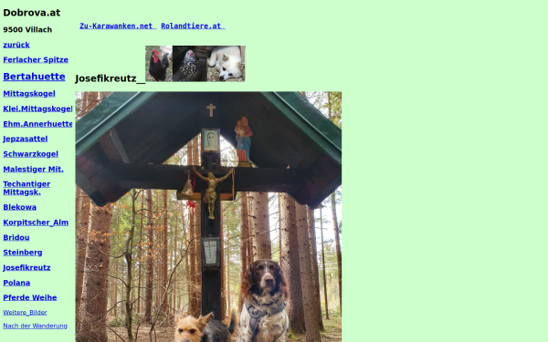 dobrova.at