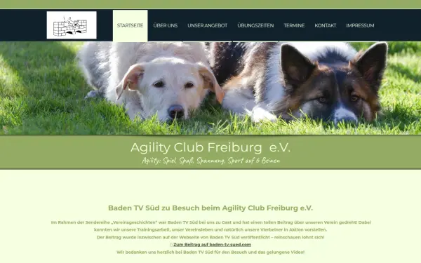 agility-club-freiburg.de