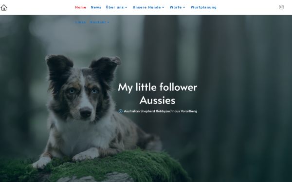 www.mylittlefollower.at