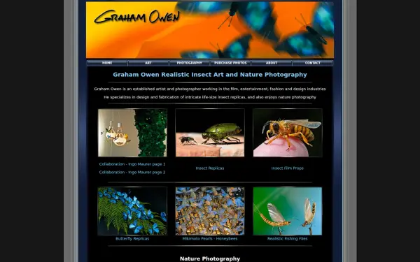 grahamowengallery.com