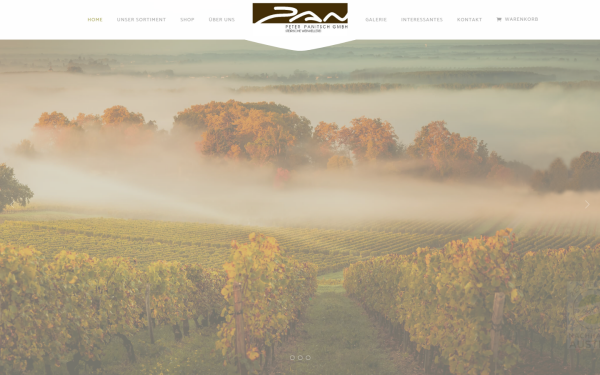 www.peterpanitsch.at
