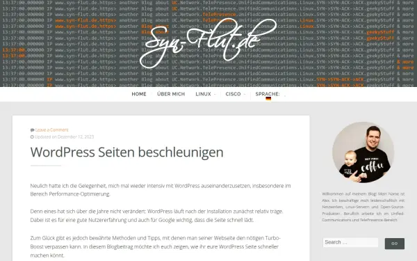 www.syn-flut.de