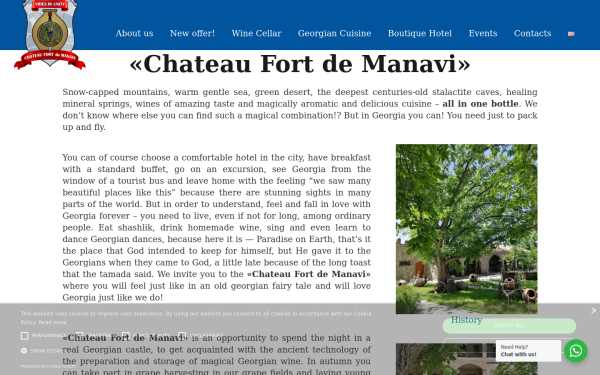 chateau-fort-manavi.com