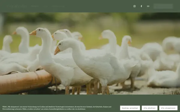 www.gut-marihn.de