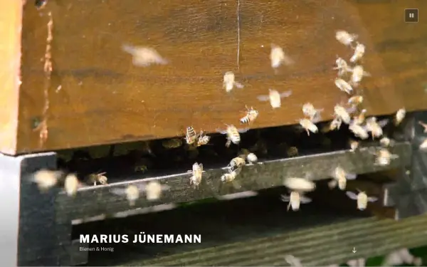 mariusjuenemann.de