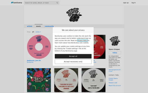 spacegrapes.bandcamp.com