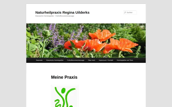 online-naturheilpraxis.de