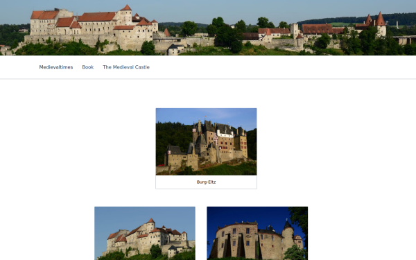 medievaltimes.de