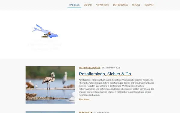 www.bodensee-ornis.de