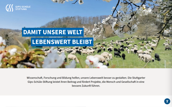 www.gips-schuele-stiftung.de