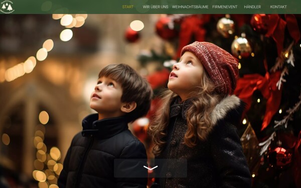 poppes-weihnachtsbaeume.de