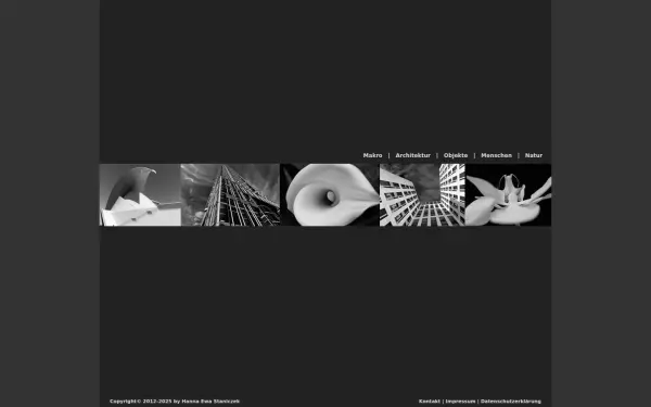 hanna-staniczek.de