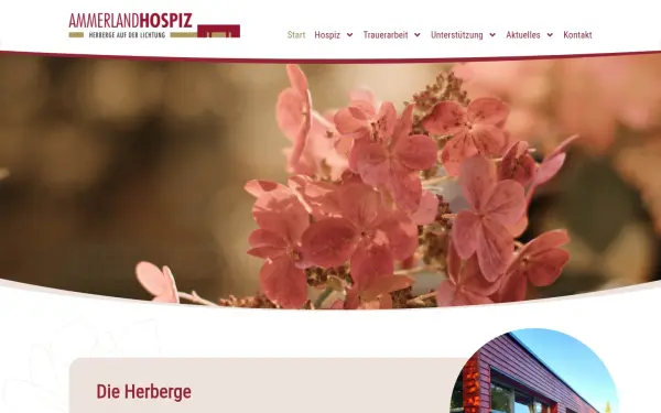 ammerland-hospiz.de