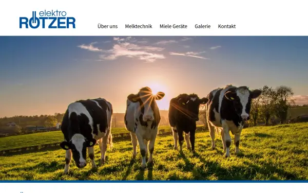 www.elektro-roetzer.com