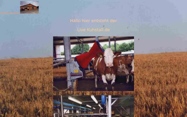 live-kuhstall.de