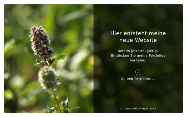 daniel-bloechlinger.ch