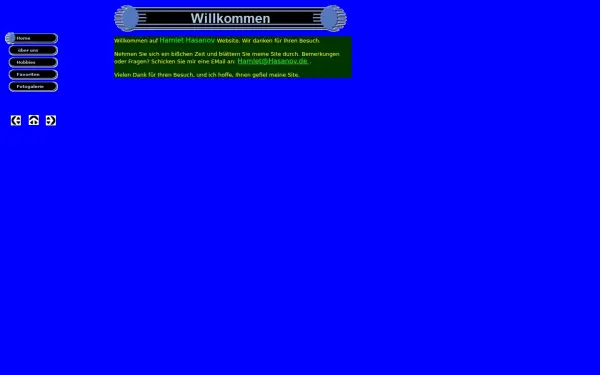 hasanov.de