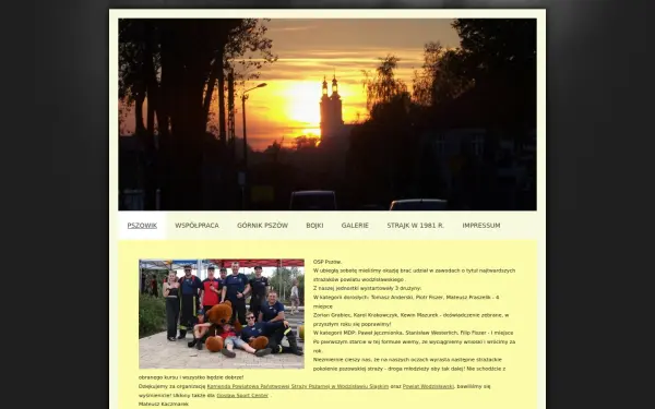 www.e-pszowik.de