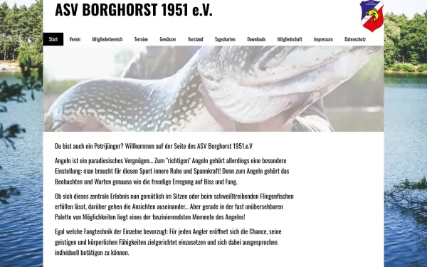 asv-borghorst.de