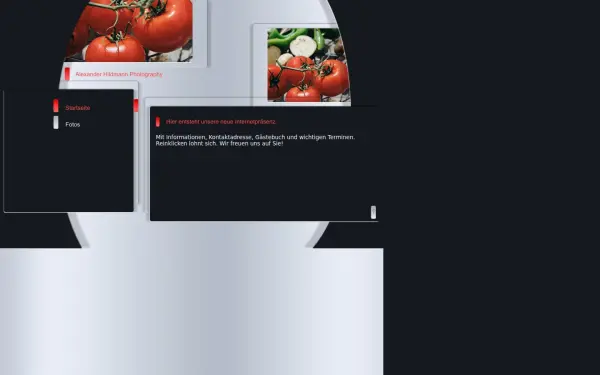 alexander-hildmann.de