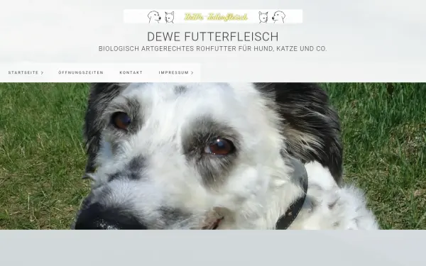 dewe-futterfleisch.de