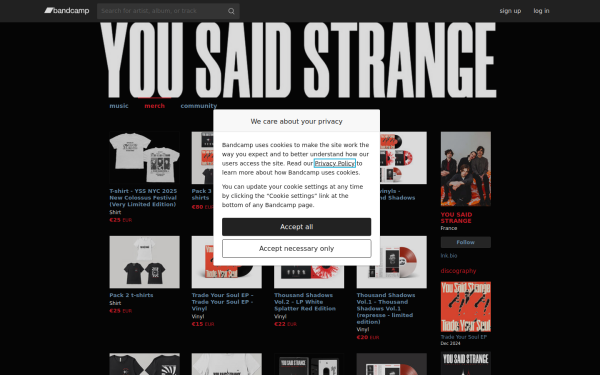 yousaidstrange1.bandcamp.com