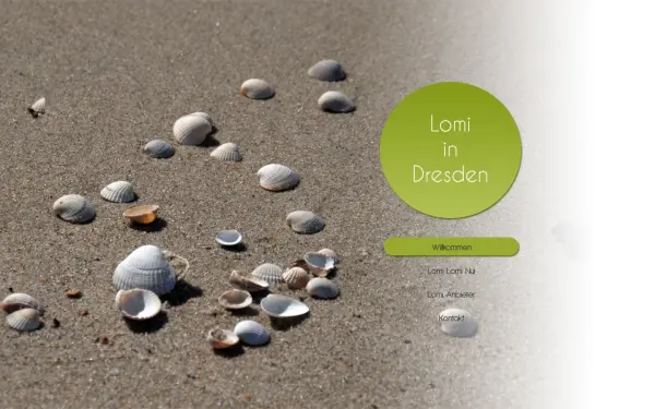 lomi-dresden.de