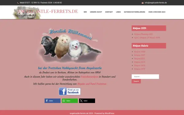 www.angelcastle-ferrets.de