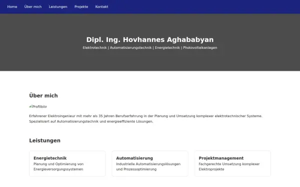 all-profis.de