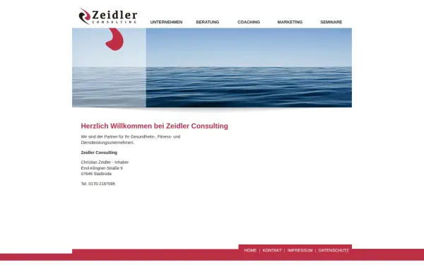 cz-consulting.de