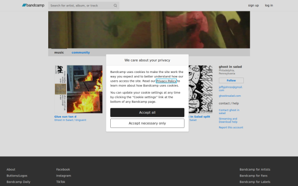 ghostinsalad.bandcamp.com