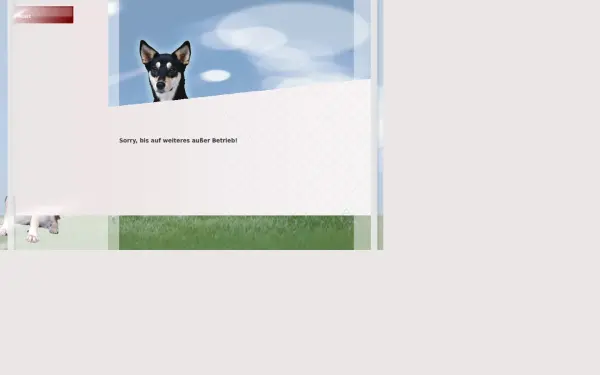dietierseele.de