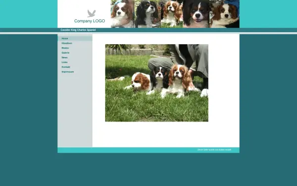 dorrer-hobbyhundezucht.de