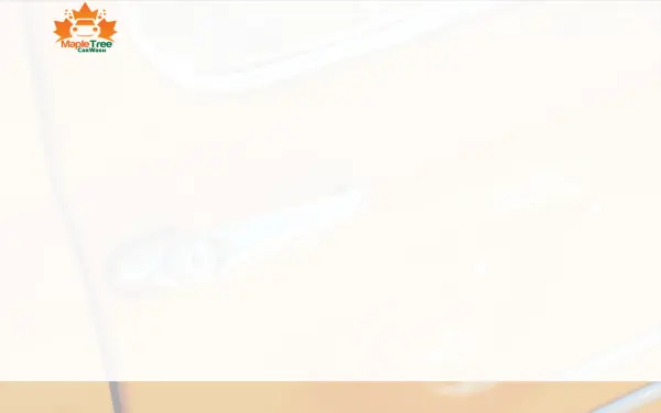 mapletree-carwash.com