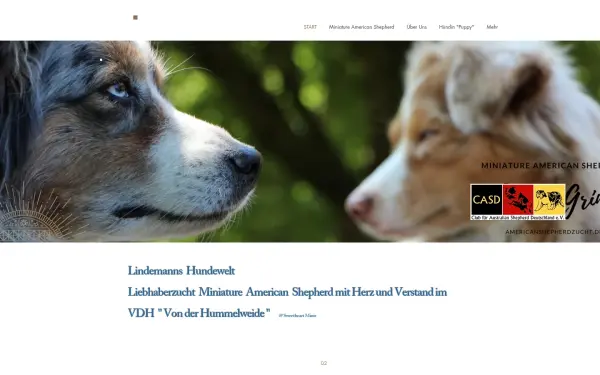 www.americanshepherdzucht.de