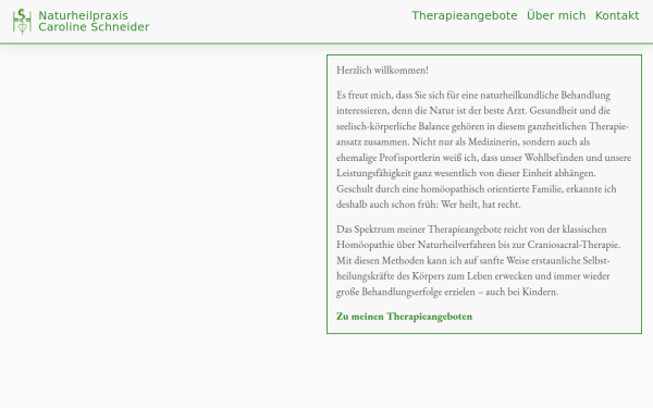 naturheilpraxis-drschneider.de
