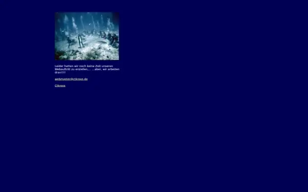 ctkroos.de