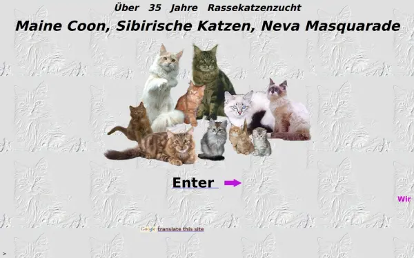maine-coon-fabulous.de