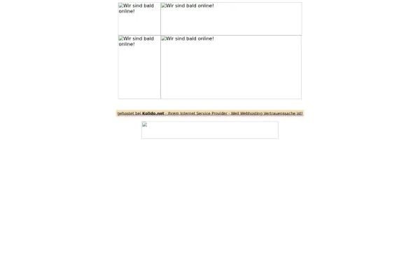drytec-wasserschaden.de