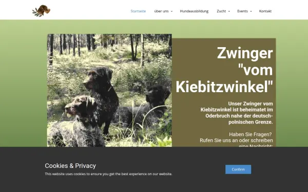 dd-zwinger-vom-kiebitzwinkel.de