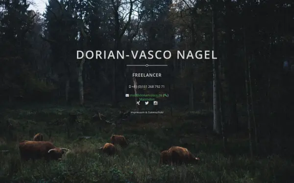 dorianvasco.de