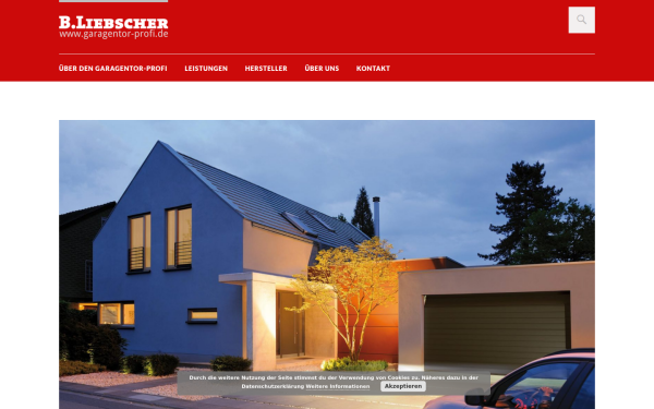 garagentor-profi.de